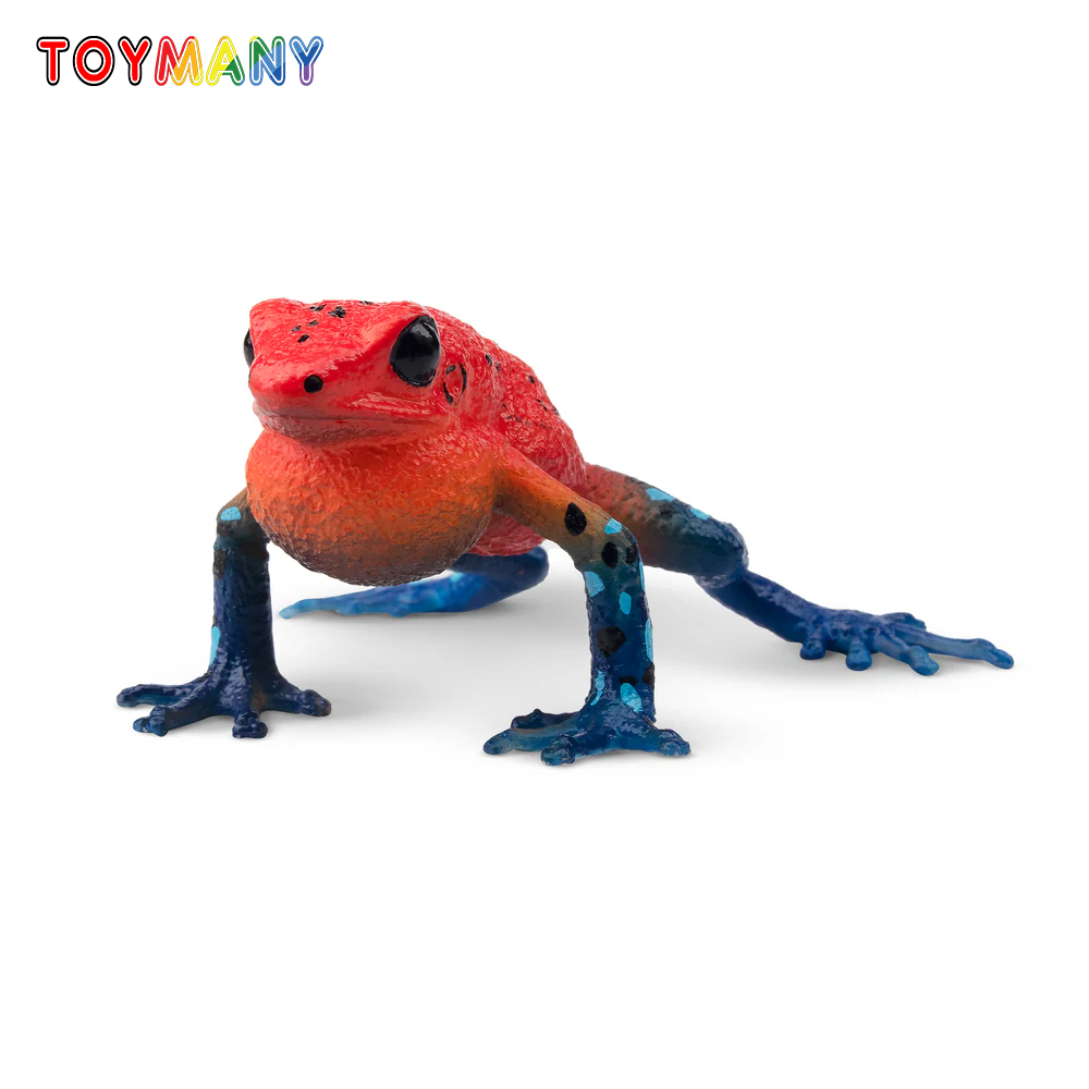 Kids Toys Latest - Toymany Simulatie Aardbei Kikker Reptiel Rijk