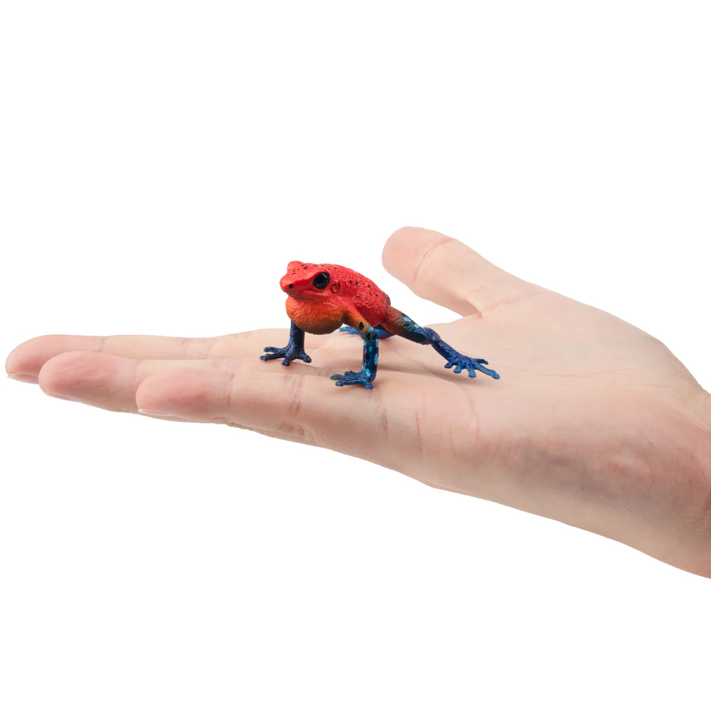 Toymany Simulatie Aardbei Kikk - Kids Toys Latest recensie en prijs