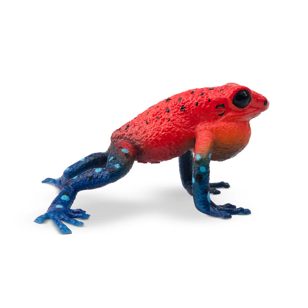 Toymany Simulatie Aardbei Kikk - Kids Toys Latest recensie en prijs