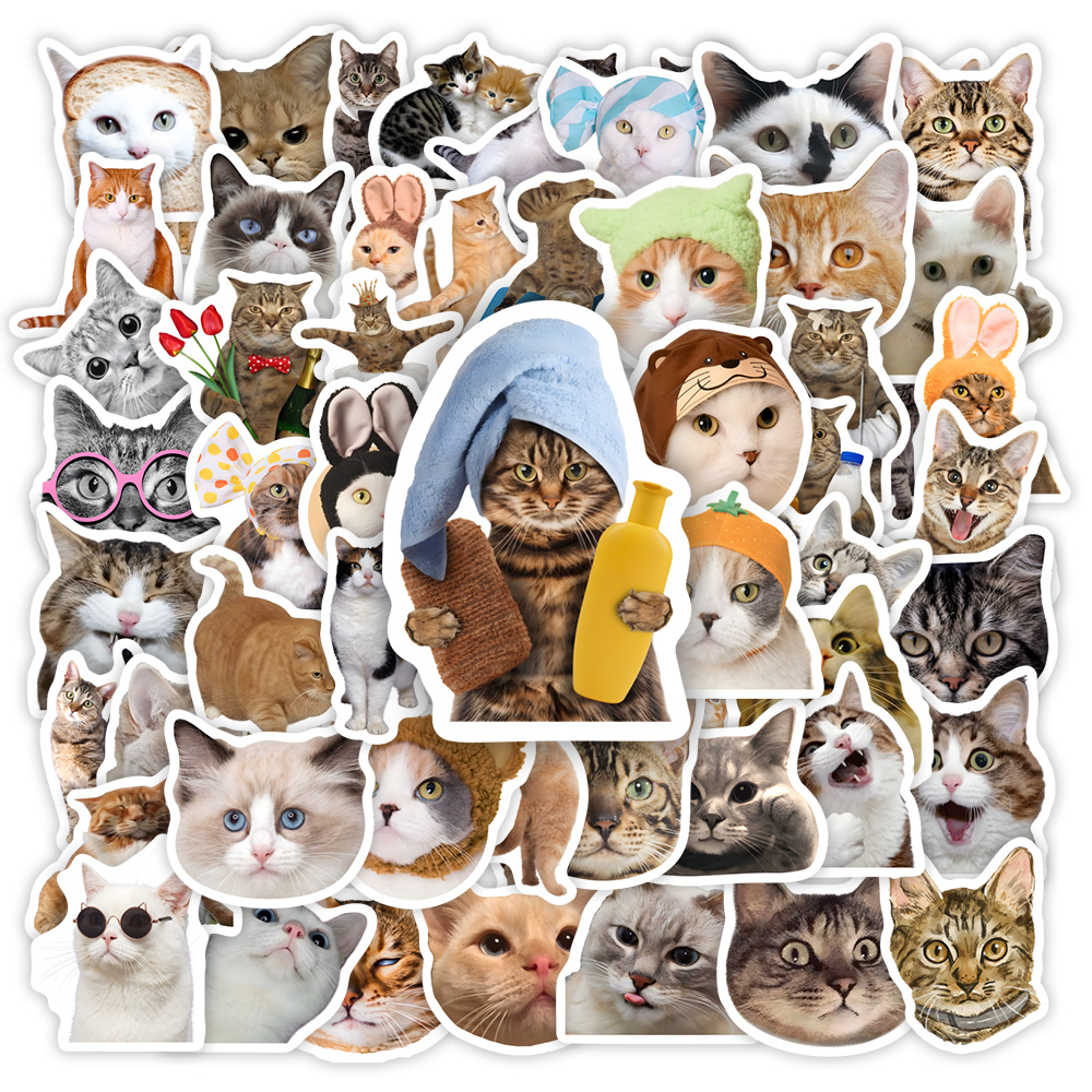 Leuke grappige kat Clipart sti - Kids Toys Clipart recensie en prijs