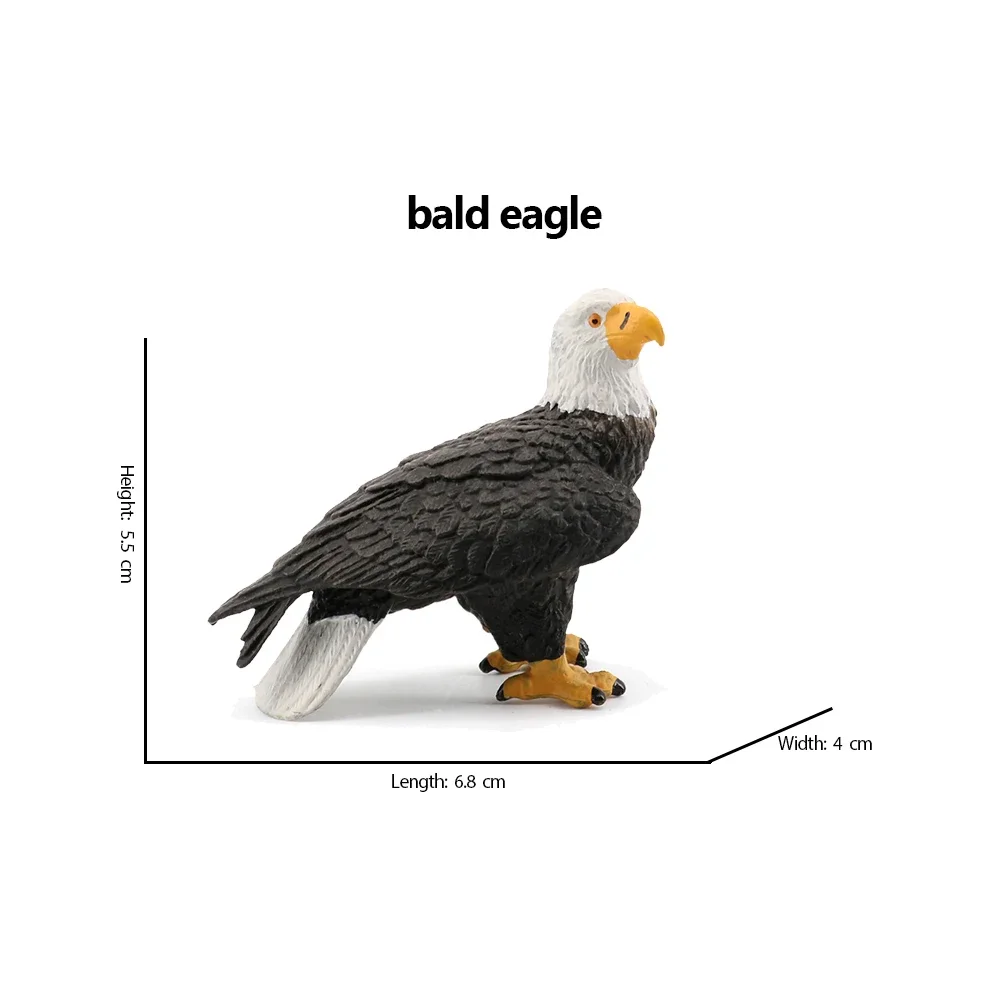 Bald Eagle pelikaan Tucan Turk - Kids Toys Under 200 recensie en prijs