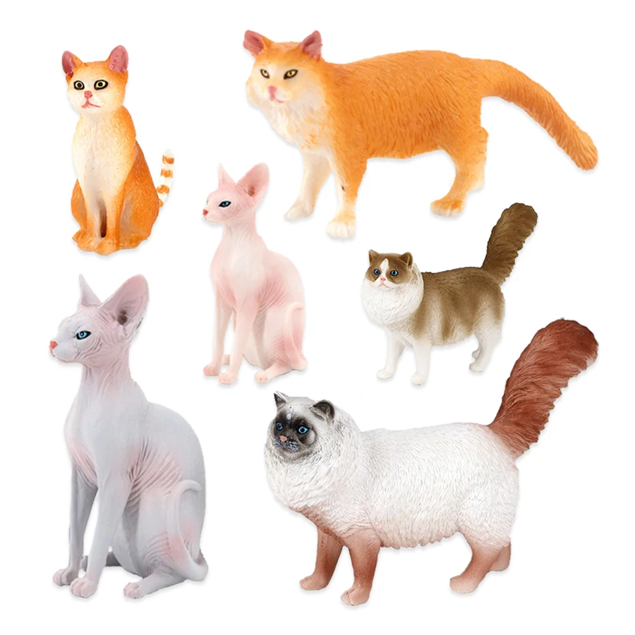 Kat Model Speelgoed Boerderijd - Kids Toys Under 200 recensie en prijs